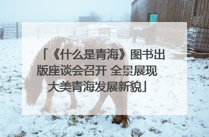 《什么是青海》图书出版座谈会召开 全景展现大美青海发展新貌