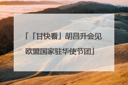 「甘快看」胡昌升会见欧盟国家驻华使节团