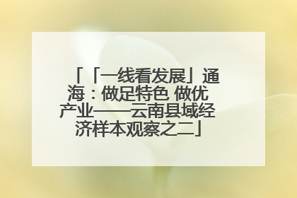 「一线看发展」通海：做足特色 做优产业——云南县域经济样本观察之二