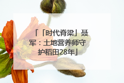 「时代脊梁」聂军：土地营养师守护稻田28年