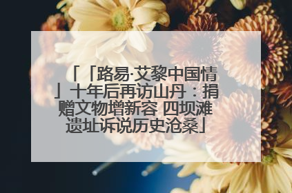「路易·艾黎中国情」十年后再访山丹：捐赠文物增新容 四坝滩遗址诉说历史沧桑