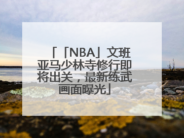 「NBA」文班亚马少林寺修行即将出关，最新练武画面曝光