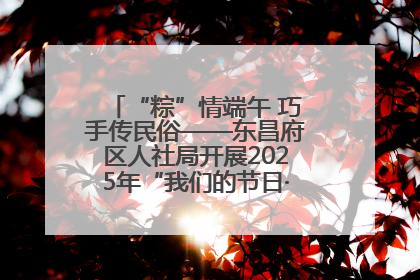 “粽”情端午 巧手传民俗——东昌府区人社局开展2025年“我们的节日·端午”包粽子活动