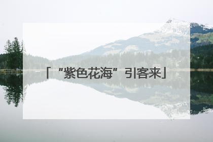 “紫色花海”引客来