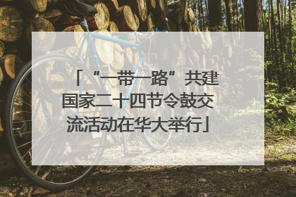 “一带一路”共建国家二十四节令鼓交流活动在华大举行