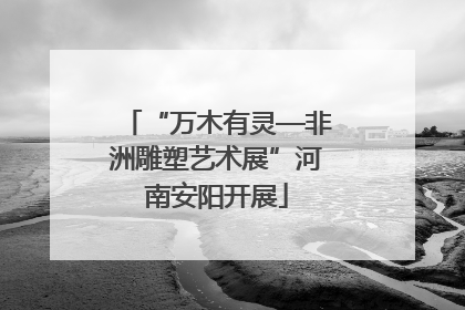 “万木有灵—非洲雕塑艺术展”河南安阳开展