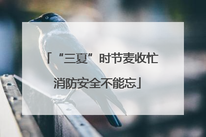 “三夏”时节麦收忙 消防安全不能忘