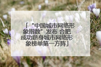 “中国城市网络形象指数”发布 合肥成功跻身城市网络形象榜单第一方阵