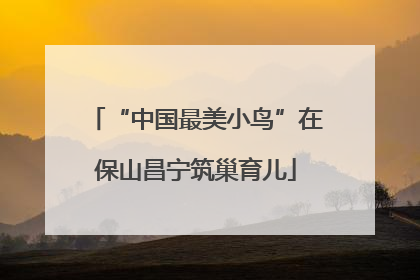 “中国最美小鸟”在保山昌宁筑巢育儿