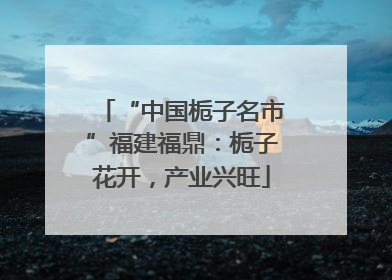 “中国栀子名市”福建福鼎：栀子花开，产业兴旺