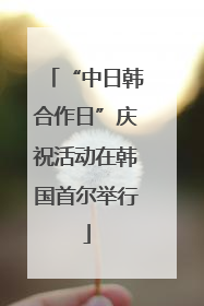 “中日韩合作日”庆祝活动在韩国首尔举行
