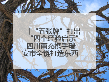 “五张牌”打出“四个经验启示” 四川南充携手瑞安市全链打造东西部“消费协作”