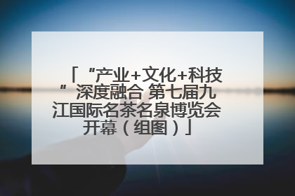“产业+文化+科技”深度融合 第七届九江国际名茶名泉博览会开幕（组图）