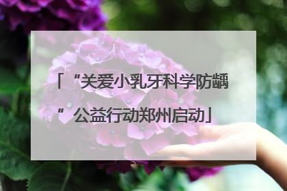 “关爱小乳牙科学防龋”公益行动郑州启动