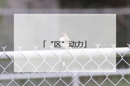 “区”动力
