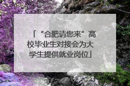 “合肥请您来”高校毕业生对接会为大学生提供就业岗位