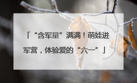 “含军量”满满！萌娃进军营，体验爱的“六一”