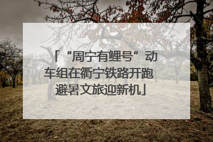 “周宁有鲤号”动车组在衢宁铁路开跑 避暑文旅迎新机