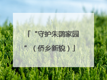 “守护朱鹮家园”（侨乡新貌）