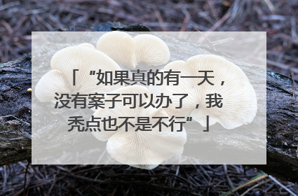 “如果真的有一天，没有案子可以办了，我秃点也不是不行”