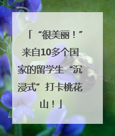 “很美丽！”来自10多个国家的留学生“沉浸式”打卡桃花山！