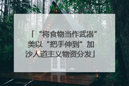 “将食物当作武器” 美以“把手伸到”加沙人道主义物资分发