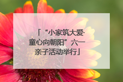 “小家筑大爱·童心向朝阳”六一亲子活动举行