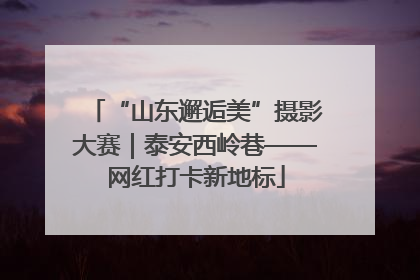 “山东邂逅美”摄影大赛｜泰安西岭巷——网红打卡新地标