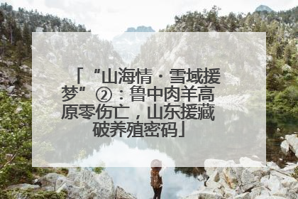 “山海情・雪域援梦”②：鲁中肉羊高原零伤亡，山东援藏破养殖密码