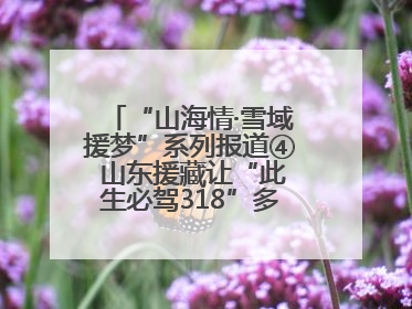 “山海情·雪域援梦”系列报道④ 山东援藏让“此生必驾318”多了N个理由