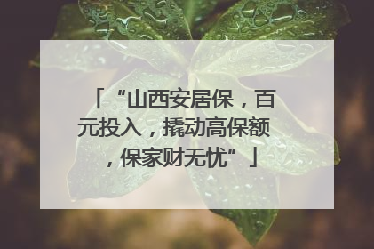 “山西安居保，百元投入，撬动高保额，保家财无忧”
