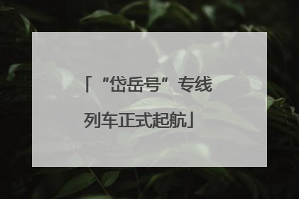 “岱岳号”专线列车正式起航
