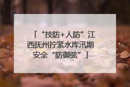 “技防+人防”江西抚州拧紧水库汛期安全“防御弦”