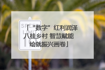 “数字”红利润泽八桂乡村 智慧赋能绘就振兴画卷