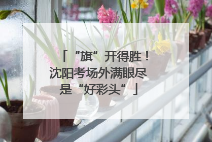 “旗”开得胜！沈阳考场外满眼尽是“好彩头”