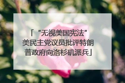 “无视美国宪法” 美民主党议员批评特朗普政府向洛杉矶派兵