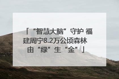 “智慧大脑”守护 福建周宁8.2万公顷森林由“绿”生“金”