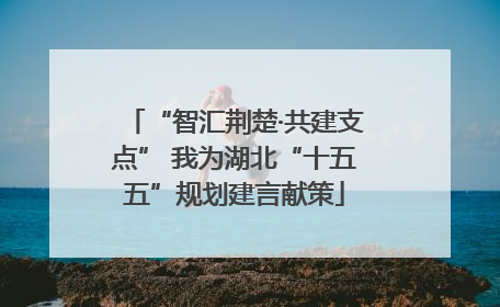 “智汇荆楚·共建支点” 我为湖北“十五五”规划建言献策