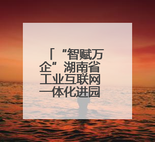 “智赋万企”湖南省工业互联网一体化进园区（娄底站）活动举行 助推农机装备产业高质量发展
