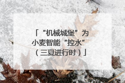 “机械城堡”为小麦智能“控水”（三夏进行时）