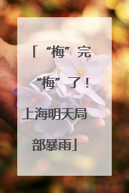 “梅”完“梅”了！上海明天局部暴雨