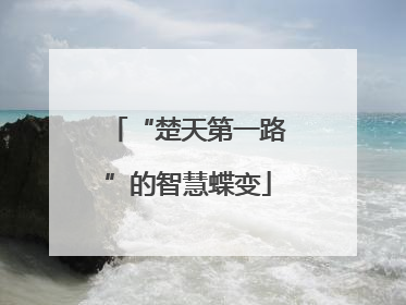 “楚天第一路”的智慧蝶变