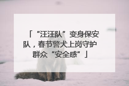 “汪汪队”变身保安队，春节警犬上岗守护群众“安全感”