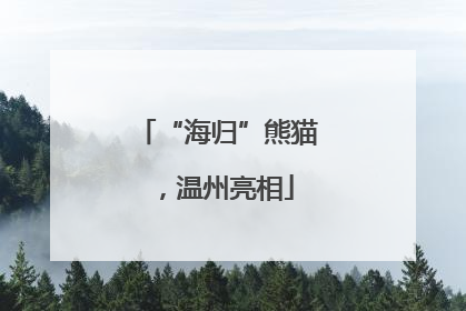 “海归”熊猫，温州亮相