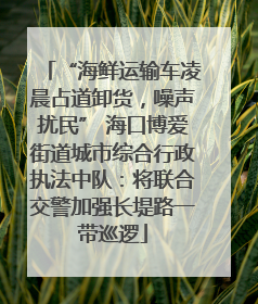 “海鲜运输车凌晨占道卸货，噪声扰民” 海口博爱街道城市综合行政执法中队：将联合交警加强长堤路一带巡逻