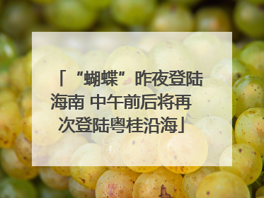 “蝴蝶”昨夜登陆海南 中午前后将再次登陆粤桂沿海