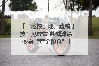 “藏粮于地、藏粮于技”见成效 盐碱滩涂变身“黄金粮仓”