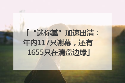 “迷你基”加速出清：年内117只谢幕，还有1655只在清盘边缘