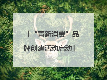 “青新消费”品牌创建活动启动