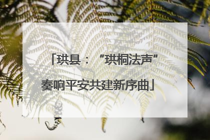 珙县：“珙桐法声”奏响平安共建新序曲